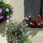 Haus Feig Geyer