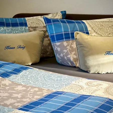 Haus Feig דירה Geyer