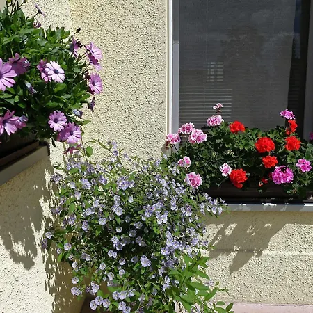 Haus Feig Geyer