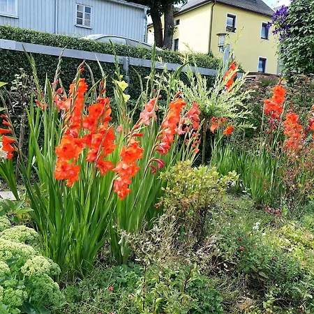 דירה Haus Feig *