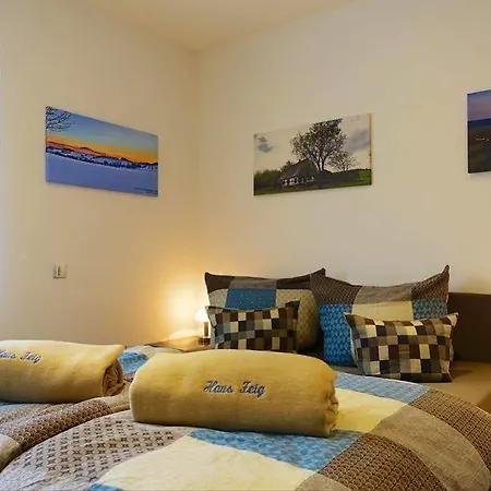 Haus Feig Apartment