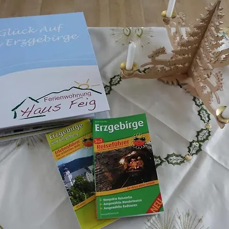 Haus Feig Apartment