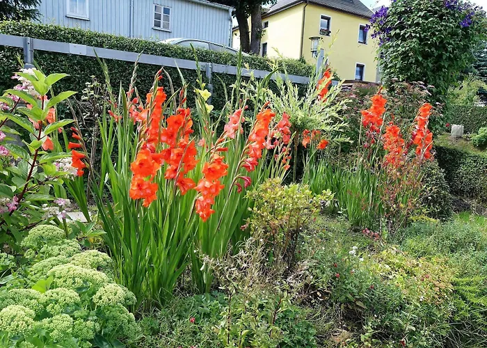 Lägenhet Haus Feig *